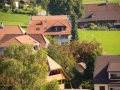 2016 Oberwangen Märit-201608272731