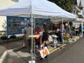 IMG_1250 IMG_1250