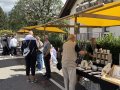 IMG_1321 IMG_1321
